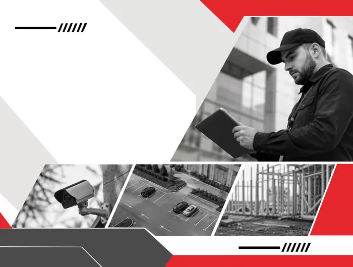 Security Assessment
