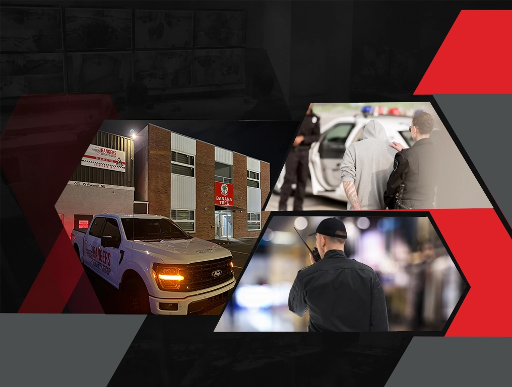 Mobile Patrol Services